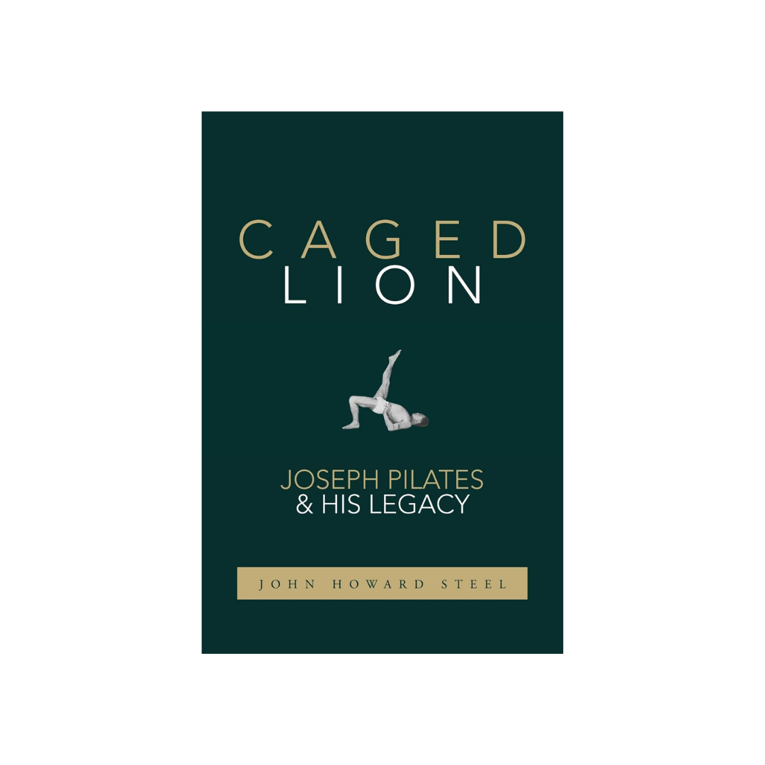 Caged Lion by John Howard Steel