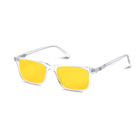 RA Optics Daylight Glasses -  Popp